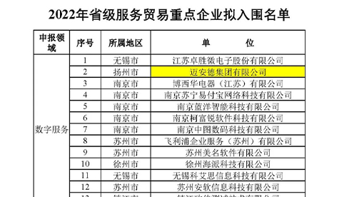 迈安德入围2022年省级数字服务贸易重点企业