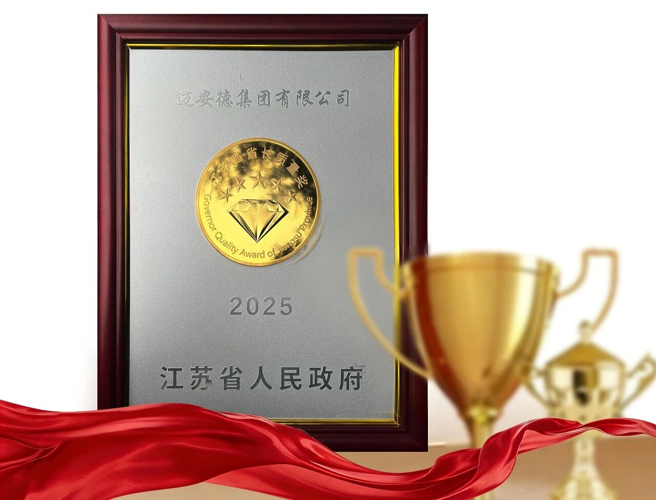 迈安德荣获2025年省长质量奖